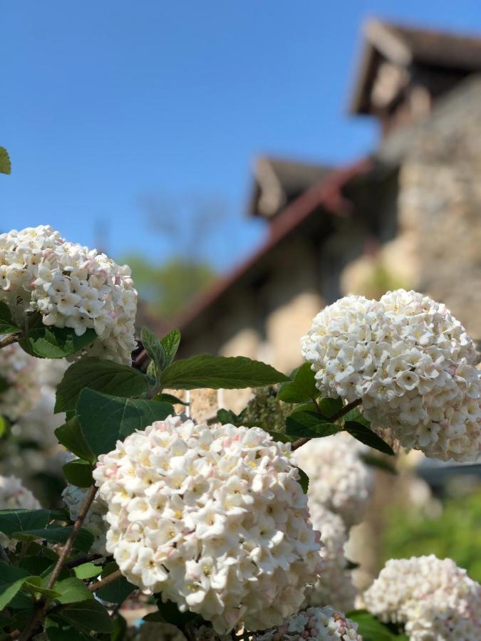 Hotel Le Clos Saint Lubin Nainville-les-Roches Zewnętrze zdjęcie